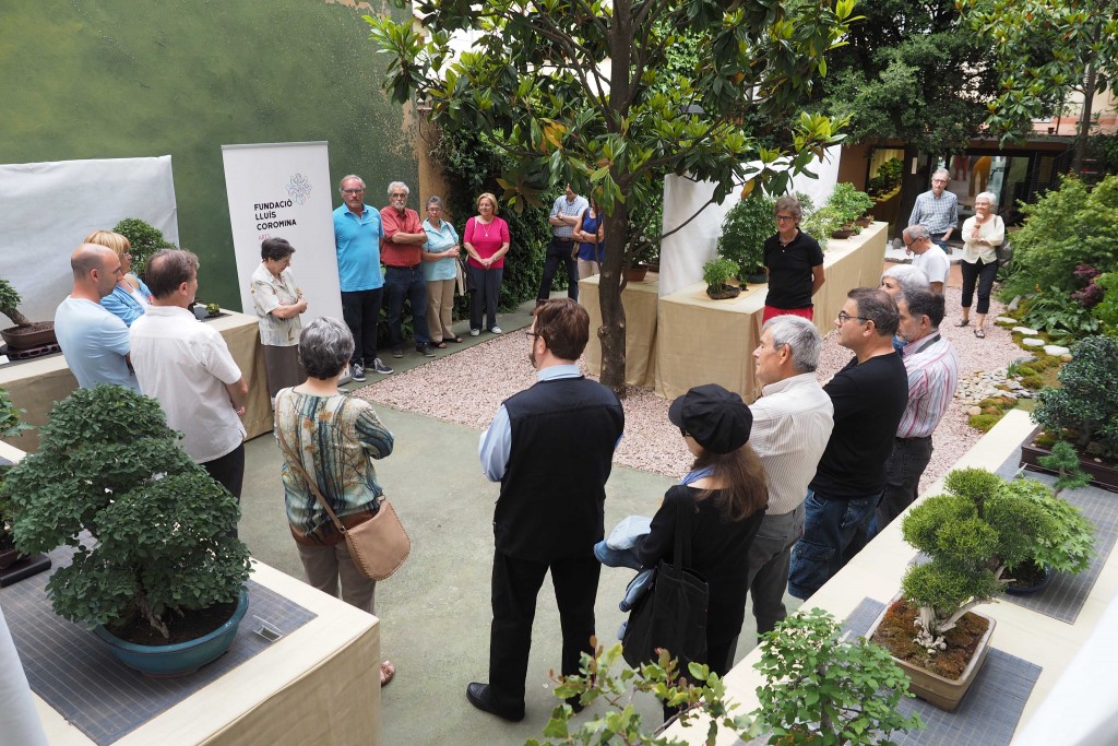 29/05/15 Inauguració de la mostra de Bonsais a l'espai Eat Art en el marc de la 38a Exposició de Flors de Banyoles. FOTO:PERE DURAN