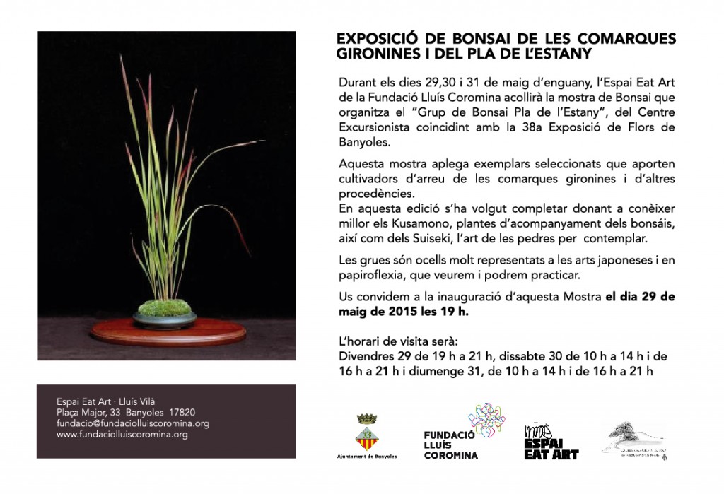 invitacio bonsais temps de flors